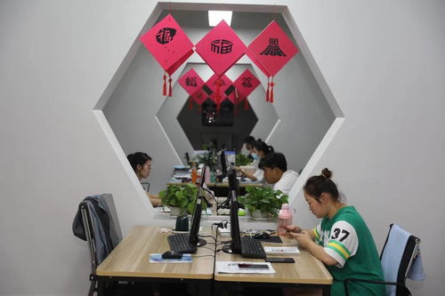 全國網媒看龍江丨齊齊哈爾加快建設 創新龍江 打造數字經濟 新藍海